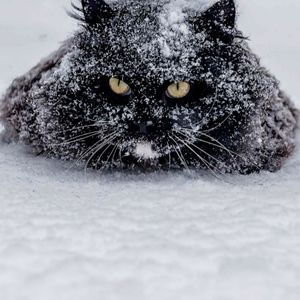 🛍🛍🛍🛍Taking Offers On All Items. Don't Be Shy It's Yours To Buy. 🛍🛍🛍🛍🛍🛍